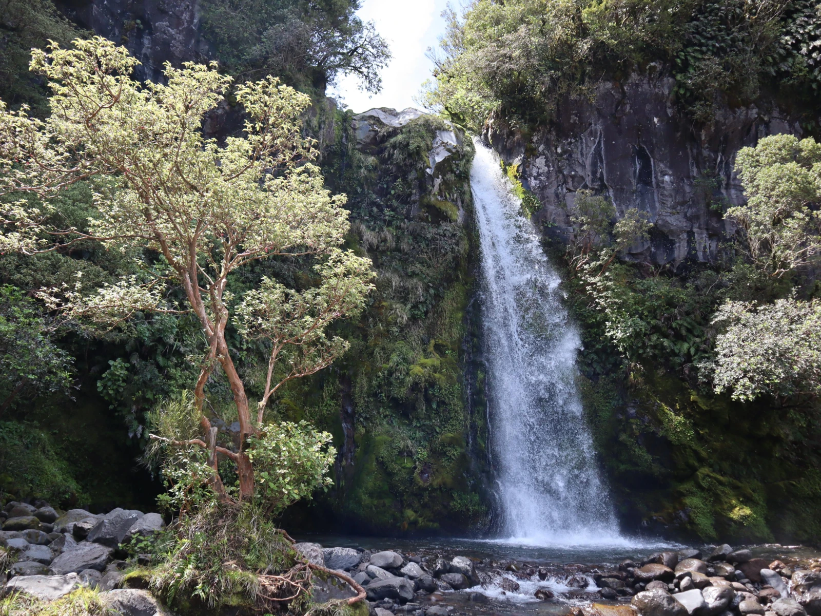 DawsonFalls